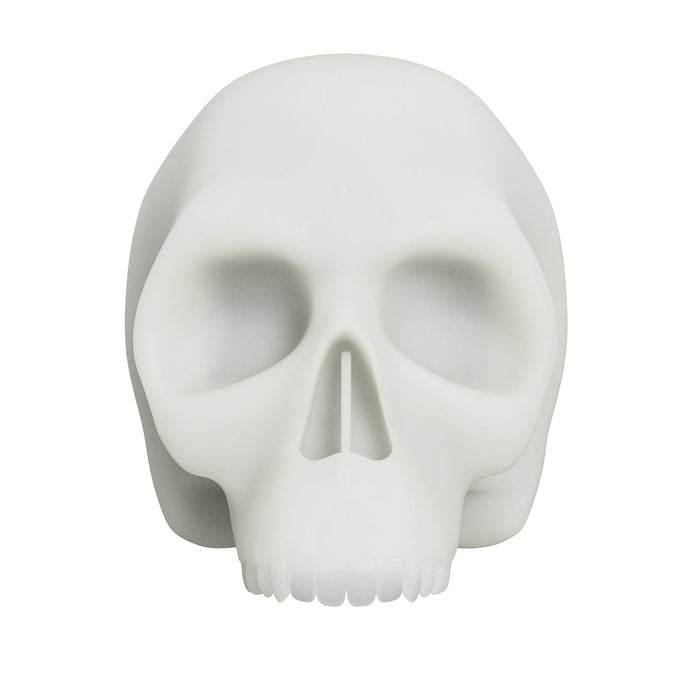 Dragonhawk Tattoo Blank Practice Skin Skull Tattoo Silicone - Dragonhawktattoos